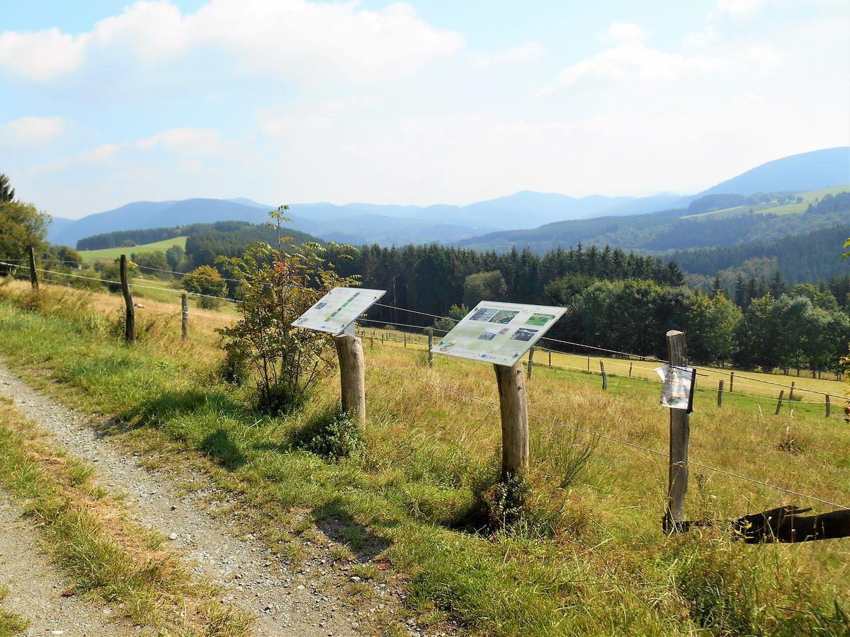 Heartbeat Apartment Winterberg